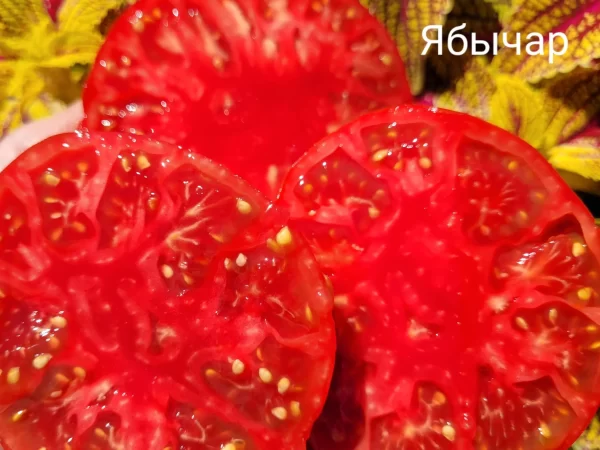 Ябычар (Сербия) — изображение 2