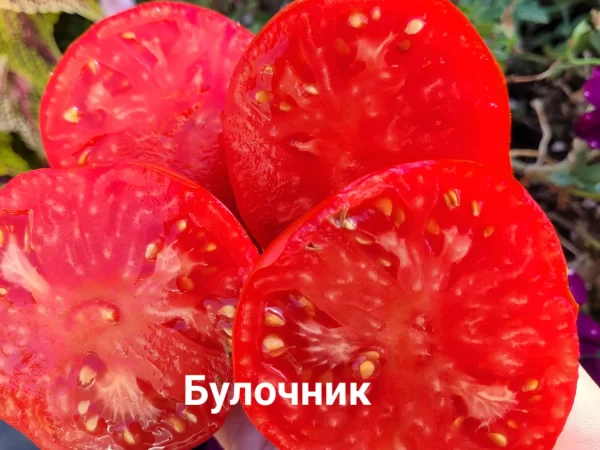 Булочник (Сербия) — изображение 2
